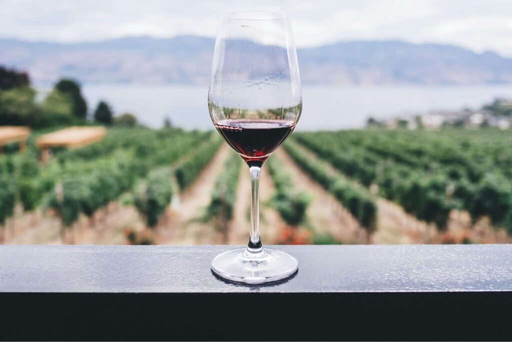 The essential types of wine every foodie needs to know 3 types of wine merlot