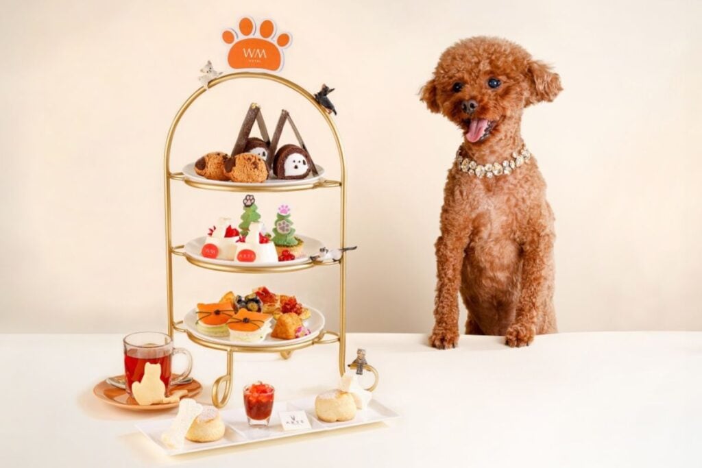 WM Hotel The best spots for afternoon tea in Hong Kong in 2025